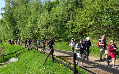 Boenlesgrag – Petit Ballon