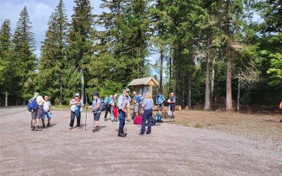 04 juillet 2023 : Col du Bretfirst – Schnepfenried