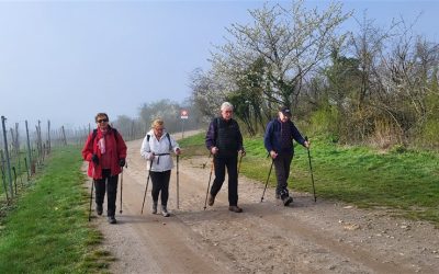 Le 19 mars 2024 le SCHAUENBERG