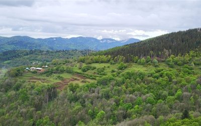 Le 7 mai 2024 : Geishouse / Chalet Faucon