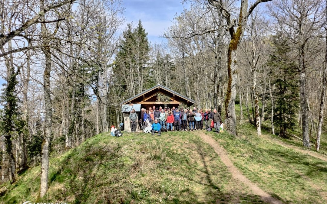 MARCHE MONTAGNE DU SILBERTHAL
