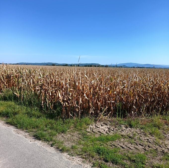 RECONNAISSANCE CIRCUIT VELO 2026.